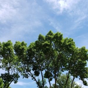 Meet your Posher, Marie